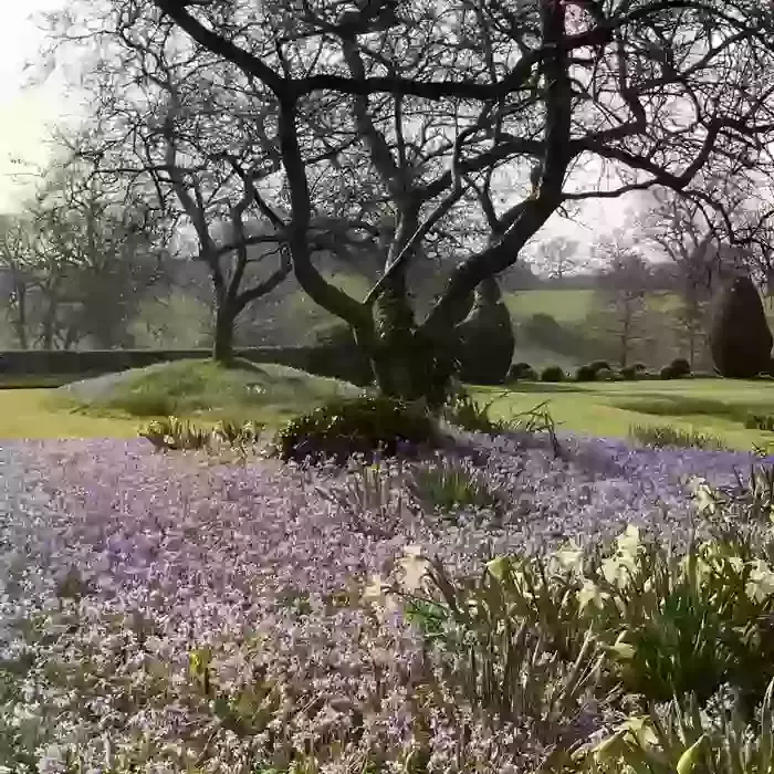 Charity open day for NGS